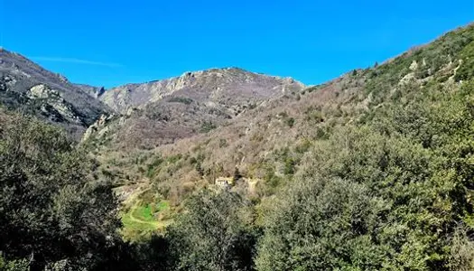 Magnifique emplacement pour cette maison en pierres rénovée et son gîte sur 14 ha de terra