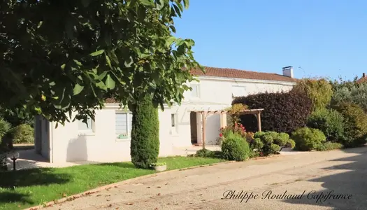 Viager Libre VERNOUX EN GATINE Maison + une deuxiéme maison 