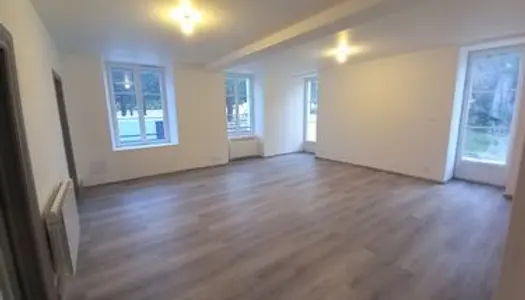 Grand appartement duplex dans maison de maitre avec jardin refaite à neuf centre ville