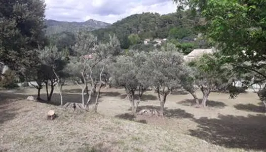 Terrain viabilisé Village Aups avec oliviers 