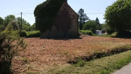 Terrain avec maison en ruine 