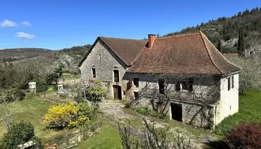 Ancienne ferme - 2 maisons indépendantes - 1 immen