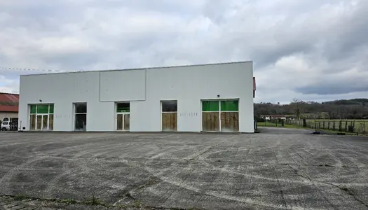 Local commercial 600 m²