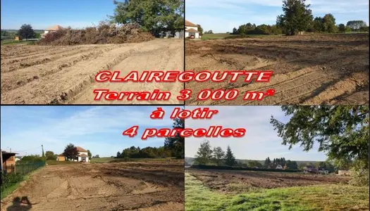 Terrain Vente Adelans-et-le-Val-de-Bithaine  3026m² 76000€