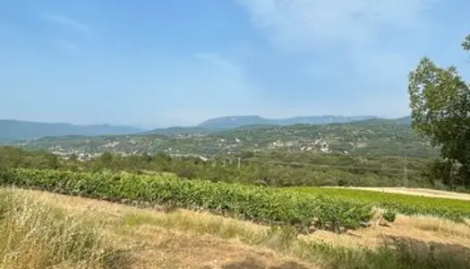 Terrain agricole avec vignes 