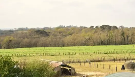 Ferme 10 pièces 90 m²