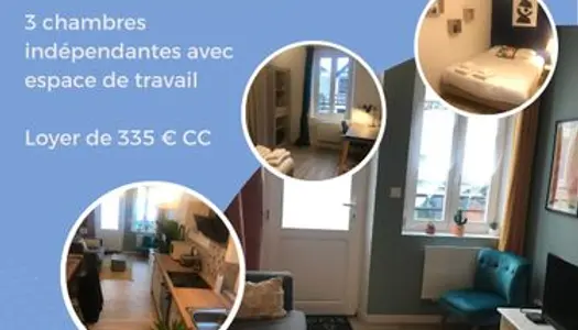 Colocation 3 chambres - Appartement Tonnerre 