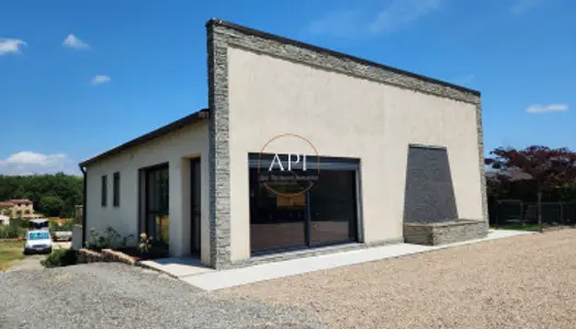 Local commercial 227 m² 