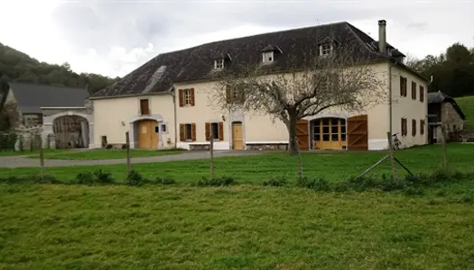 Proximite Oloron - Ensemble Immobilier Avec Terres Agricoles Et Bois -