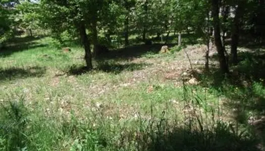 Terrain à batir 