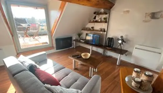 Appartement meublé F 1 avec grande terrasse , coeur de ville 