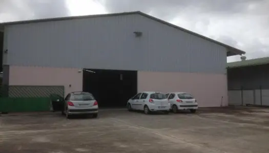 Local commercial 283 m²