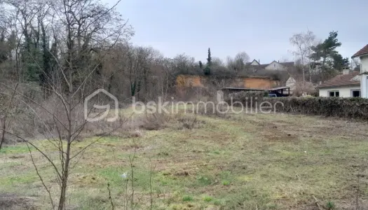 Terrain 6251 m²