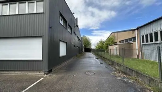 Locaux d'Activités - A LOUER - 500 m² non divisibles 
