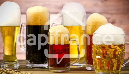 Dpt Hautes Pyrénées (65), à vendre LOURDES Bar - Brasserie 4