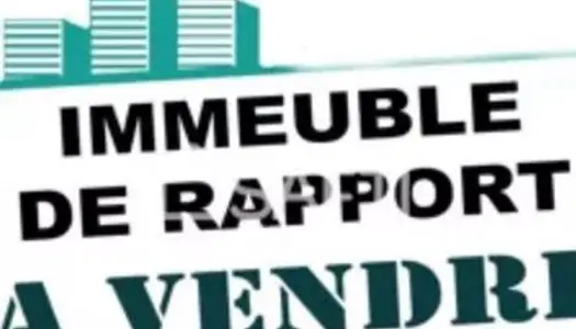 Immeuble de rapport 8 pièces 