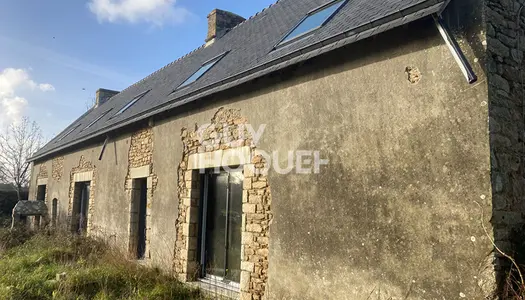 VENTE : maison T7 (207 m²) à PLUNERET