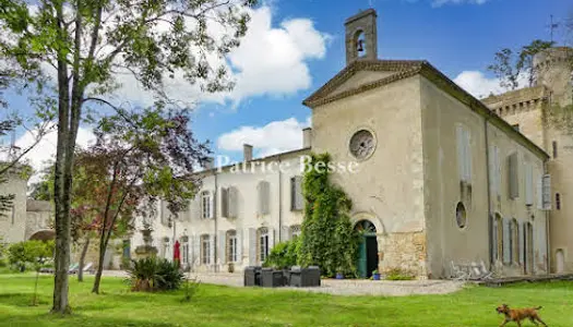 Château 20 pièces 1340 m² 
