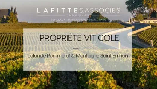 Vignoble à Lalande Pommerol & Montagne Saint Emilion 