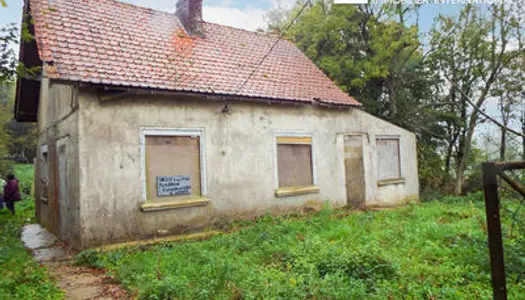 Petite maison à rénover ou à démolir et à reconstruire sur près de 1 630 m² de terrain.