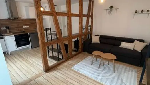 Krutenau - Grand studio meublé 29 m² 