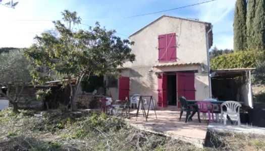 POUR AMOUREUX DE LA PROVENCE - MAISON PROVENCALE AVEC CHAMPS D'OLIVIER 