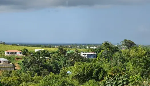 Spacieuse villa architecte P6 vue mer éloignée avec piscine sur 1200 m² de terrain arboré et 