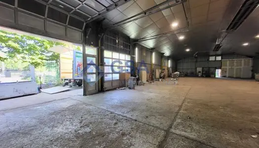 Local commercial 731 m² 