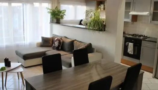 Appartement Location Vandœuvre-lès-Nancy 4p 66m² 390€