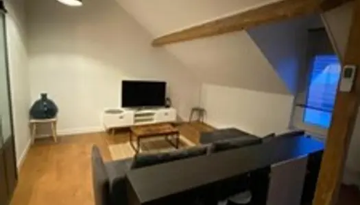 Location d'un appartement F3 meublé (54 m² carrez - 79m² 