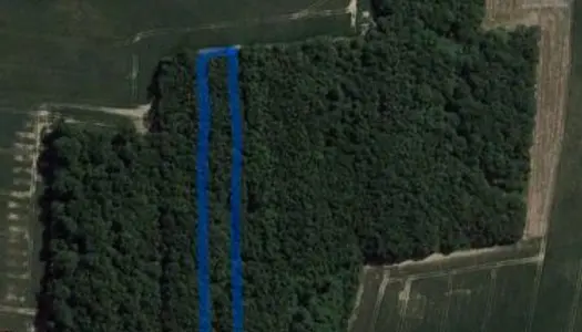 Terrain Vente La Forêt-du-Parc  2530m² 5500€