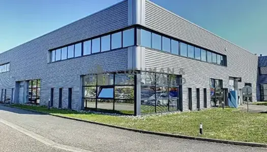 Bureaux 585 m² (Div. 192 m²) à louer (NIEDERHAUSBERGEN 67207) 