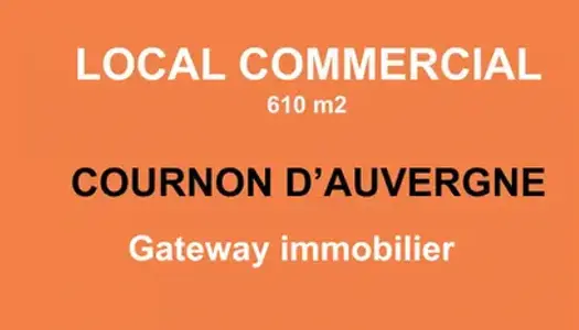 LOCAL D'ACTIVITÉ OU COMMERCIAL À COURNON D'AUVERGNE 610m2