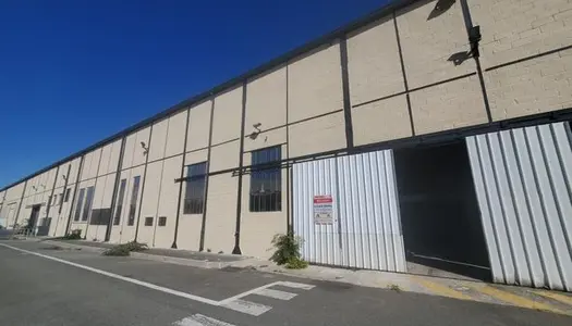 Local commercial 1600 m² 