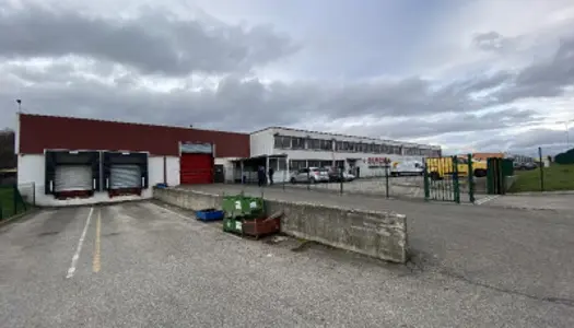 Local commercial 5264 m²