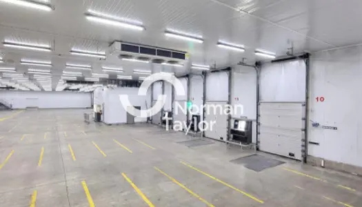 Local commercial 5000 m²