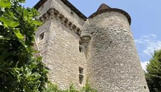 Superbe château avec vue imprenable sur la rivière Lot 