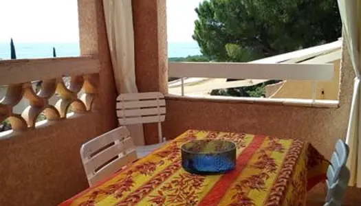 Studio charmant Cote d'Azur vue mer plage 300 m wifi 