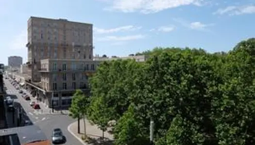 A vendre Le Havre NOUVEAU en EXCLUSIVITE T7 Hotel de Ville 