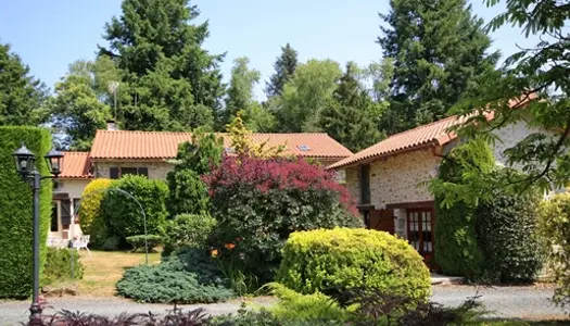 Maison en pierre avec 2 maisons d'amis, piscine et un beau jardin 