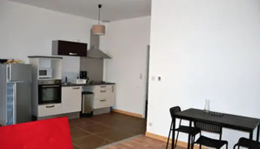 Appartement Yssingeaux meublé rdc 