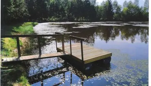 Exclu Secteur LUXEUIL Etang sur 15 000 m² à l'abris des regards, loué actuellement à 200 € 