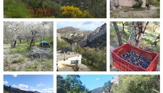 Vends Cabanon Buis les Baronnies (26170) - 40m²