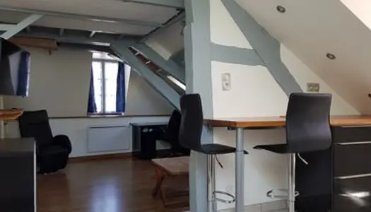 Appartement T2 54 m² + cave 50 m² - hypercentre Auxerre 
