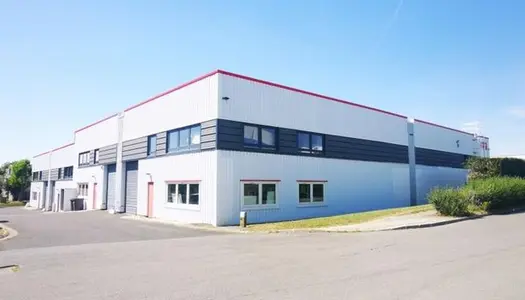 Local commercial 570 m²