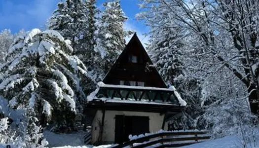 Chalet pointu meublé - Super Allos - Accès voiture - Vue dégagée 