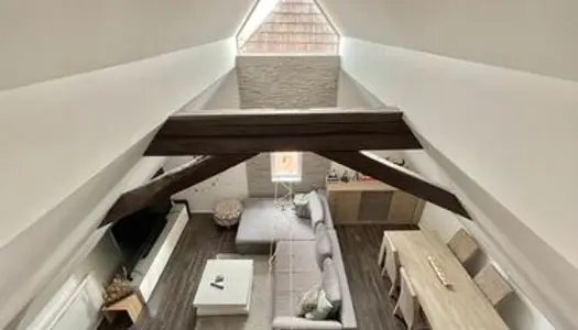 Appartement Duplex en dernier niveau de 59m2