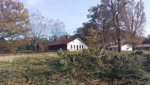 Lévignac, en bordure de forêt, maison landaise à restaurer !