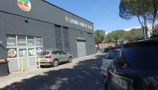 Local commercial 555 m² 