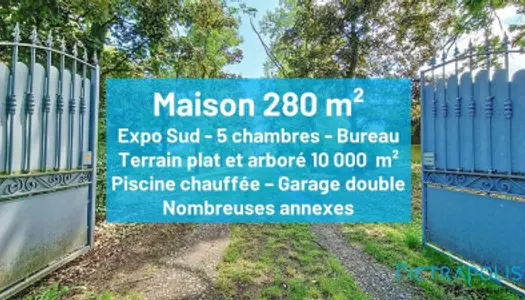 15 min St Etienne - Maison ancienne rénovée 260 m² - terrain 